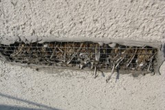 Netopýři uhynulí po uvěznění ve větracím otvoru panelového domu v Lovosicích.